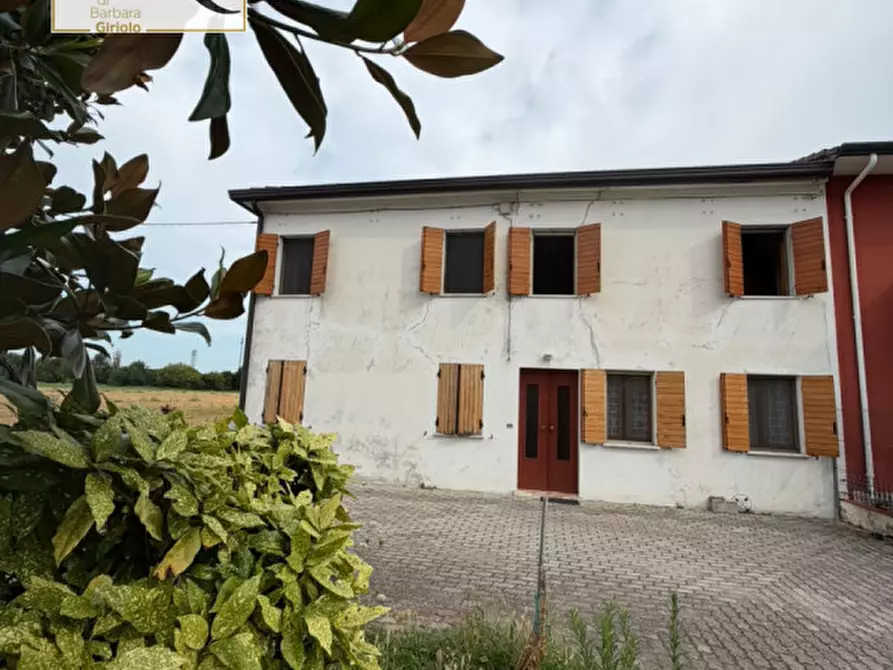 Immagine 2 di Casa bifamiliare in vendita  a Badia Polesine