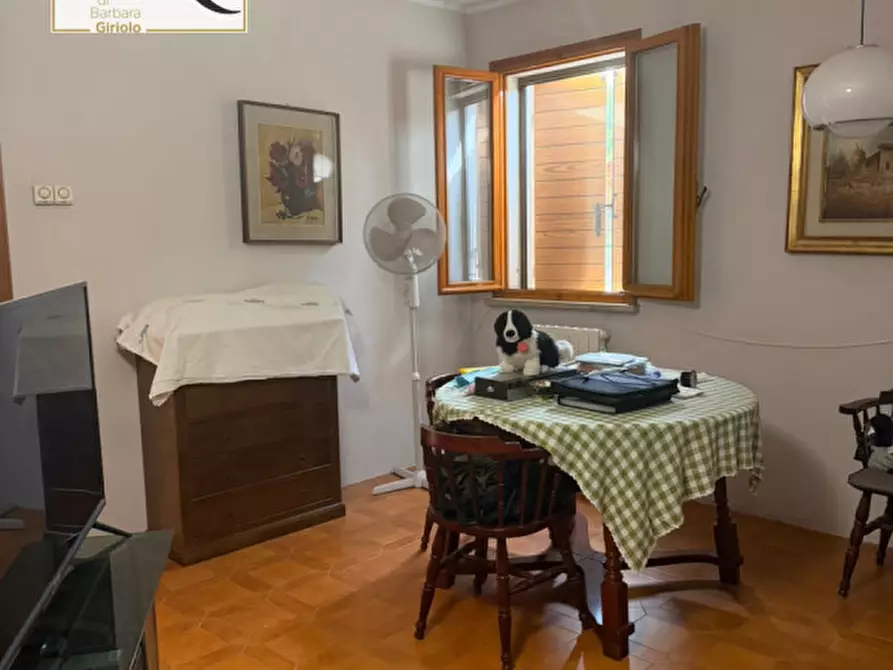 Immagine 5 di Casa bifamiliare in vendita  a Badia Polesine