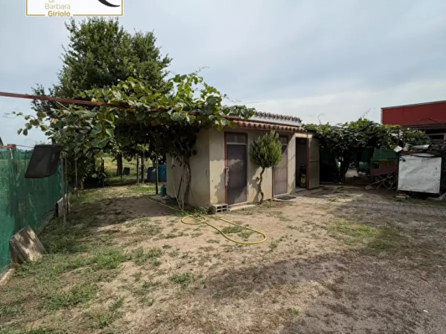 Immagine 14 di Casa bifamiliare in vendita  a Badia Polesine