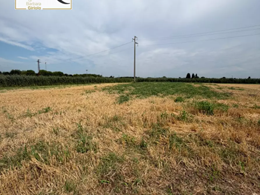 Immagine 15 di Casa bifamiliare in vendita  a Badia Polesine