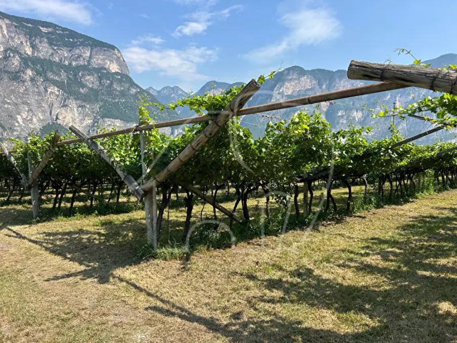Immagine 6 di Terreno in vendita  a Mezzocorona