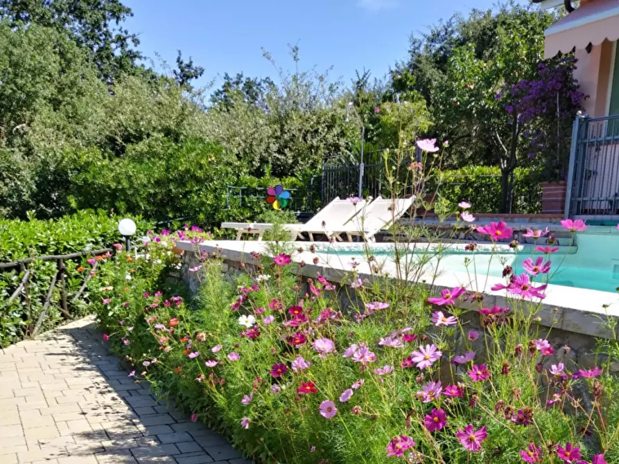 Immagine 31 di Villa in vendita  a Magione