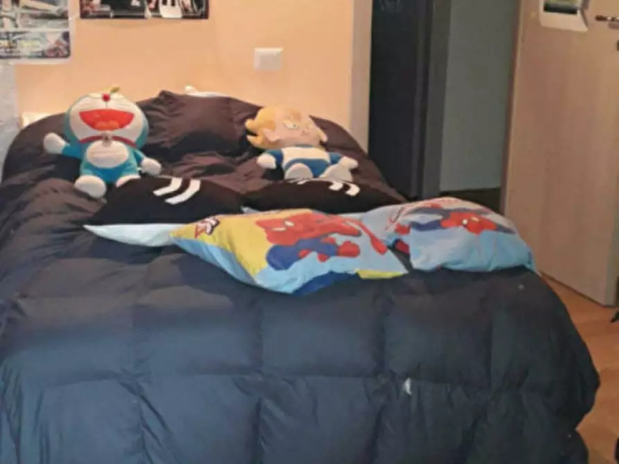 Immagine 6 di Casa indipendente in vendita  in Via Vegno a Crodo