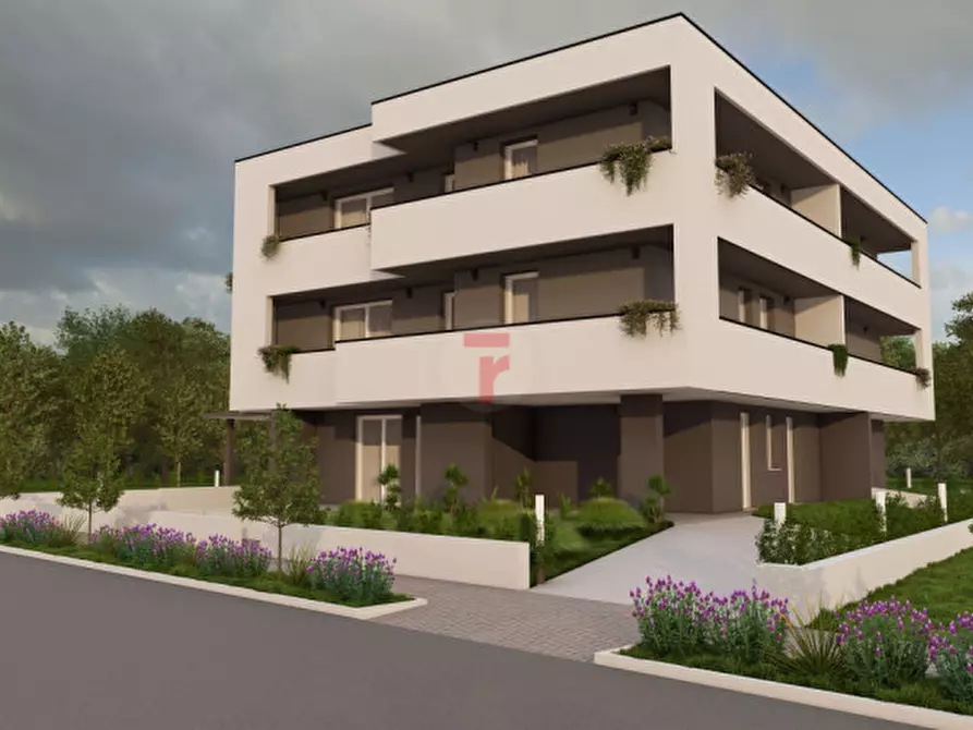 Immagine 3 di Appartamento in vendita  a Casalserugo