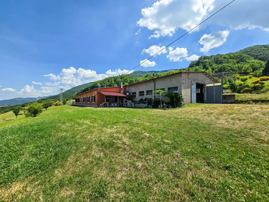 Immagine 3 di Casa indipendente in vendita  in Cuppio a Piobbico