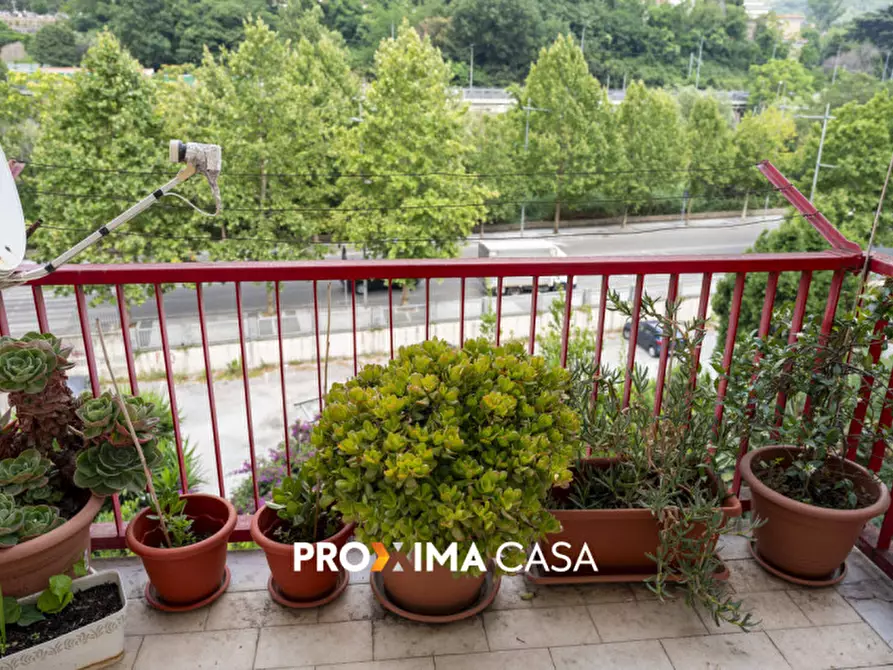 Immagine 30 di Appartamento in vendita  in piazza onofrio coppola 2 a Salerno