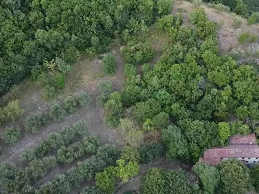 Immagine 6 di Rustico / casale in vendita  in Via Scalette a Arqua' Petrarca