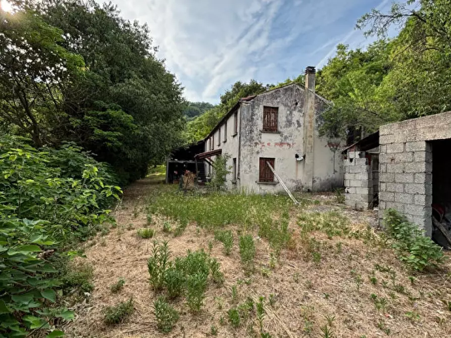 Immagine 8 di Rustico / casale in vendita  in Via Scalette a Arqua' Petrarca