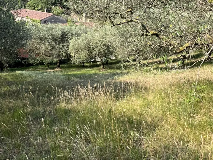 Immagine 13 di Rustico / casale in vendita  in Via Scalette a Arqua' Petrarca