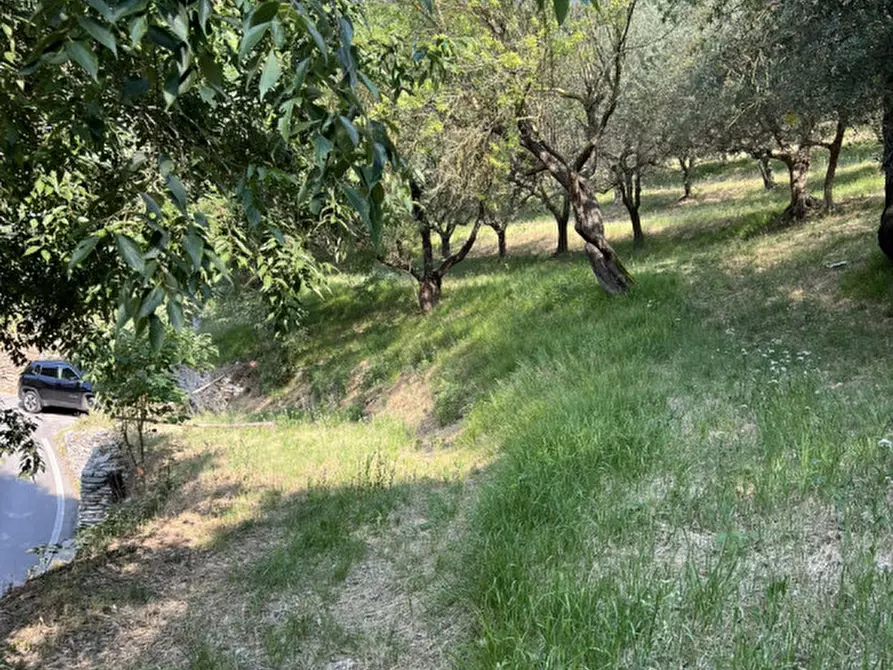 Immagine 14 di Rustico / casale in vendita  in Via Scalette a Arqua' Petrarca