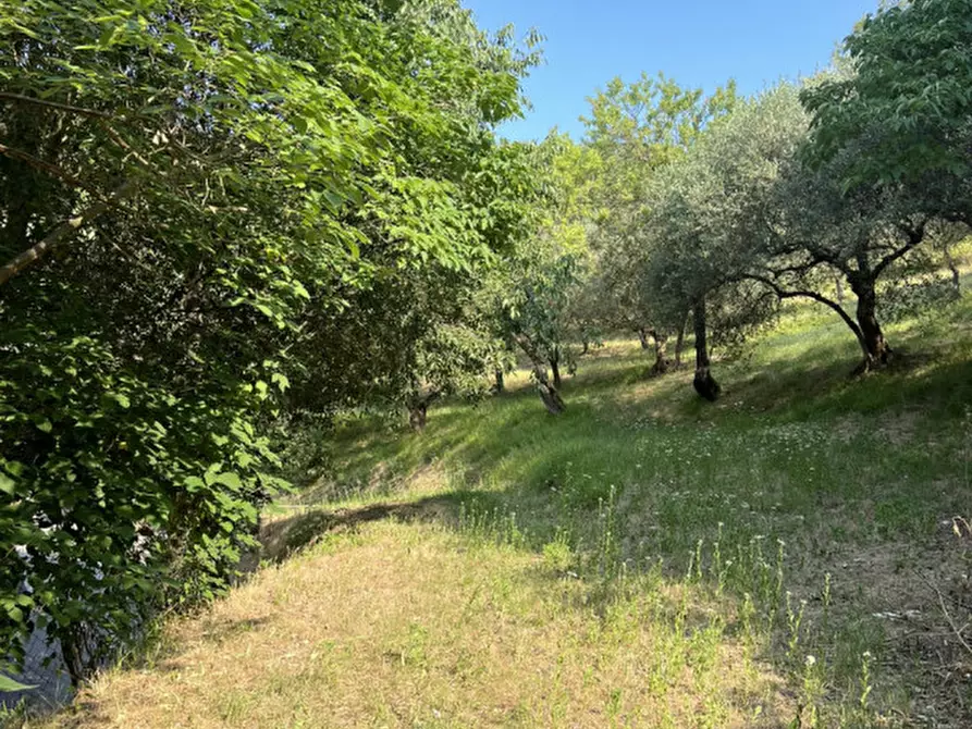 Immagine 15 di Rustico / casale in vendita  in Via Scalette a Arqua' Petrarca