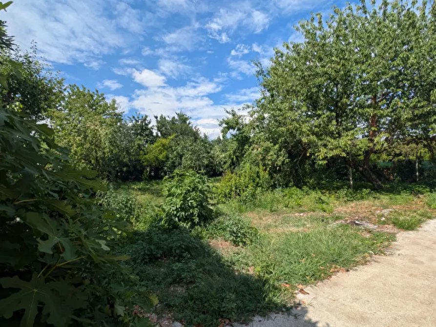Immagine 3 di Rustico / casale in vendita  in Borgo Asolo a Castelfranco Veneto