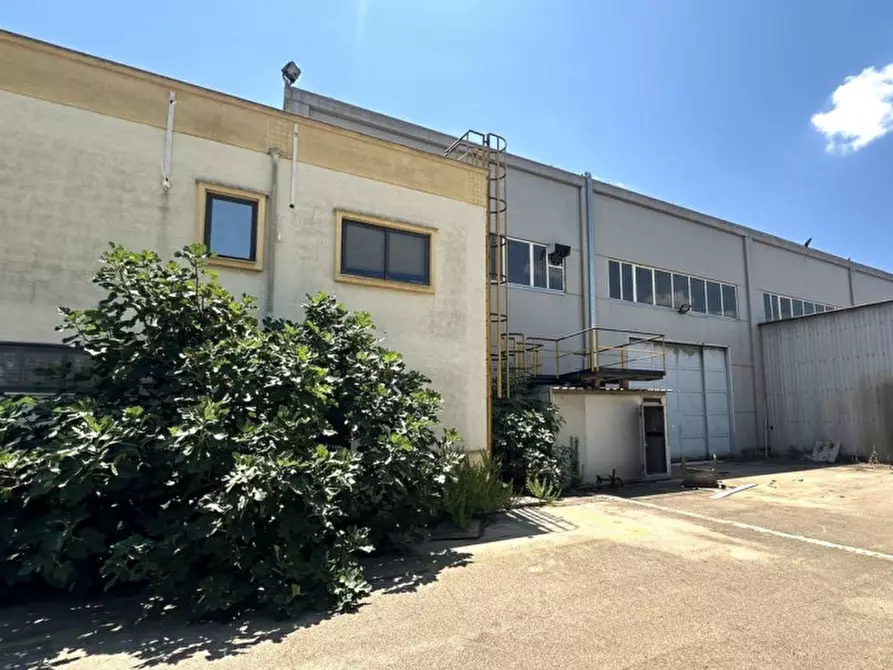 Immagine 8 di Capannone industriale in vendita  in SP128, 74020 Torricella TA, Italia a Torricella