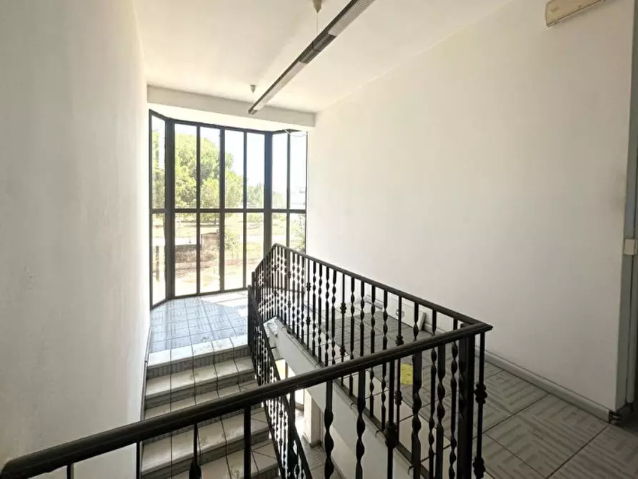 Immagine 12 di Capannone industriale in vendita  in SP128, 74020 Torricella TA, Italia a Torricella