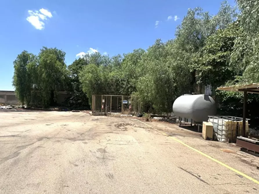 Immagine 18 di Capannone industriale in vendita  in SP128, 74020 Torricella TA, Italia a Torricella