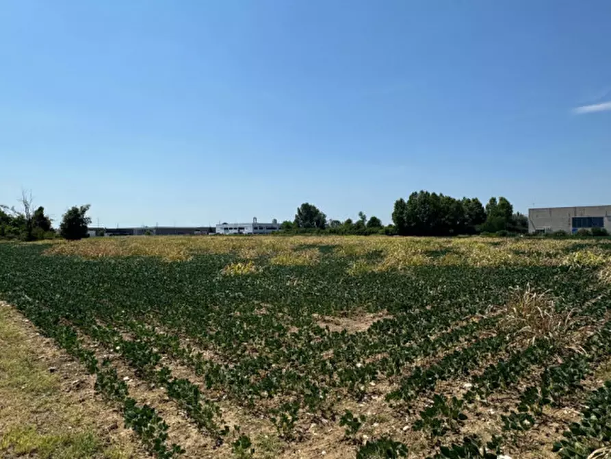 Immagine 4 di Terreno in vendita  in Via Remis a San Vito Al Torre