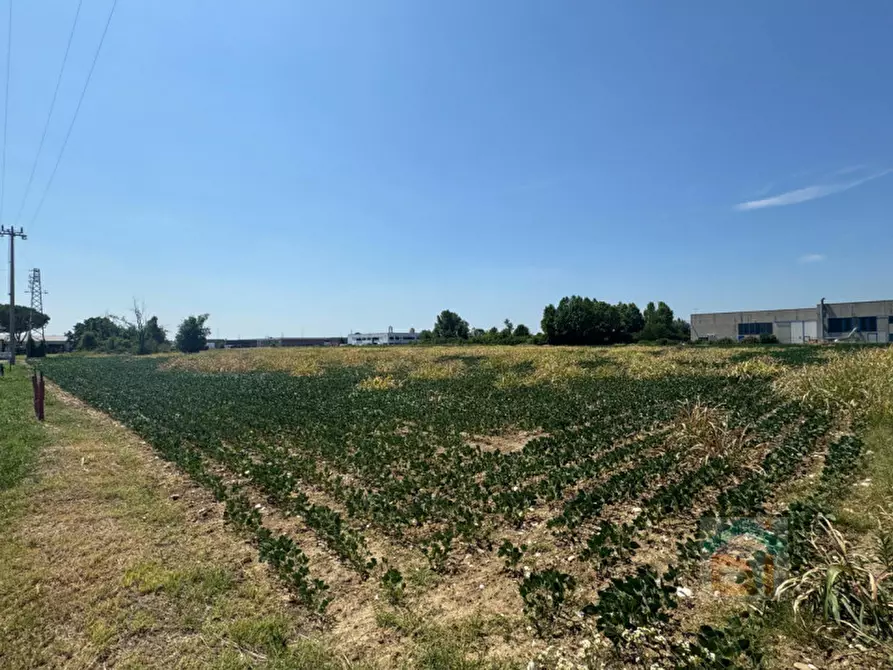 Immagine 6 di Terreno in vendita  in Via Remis a San Vito Al Torre