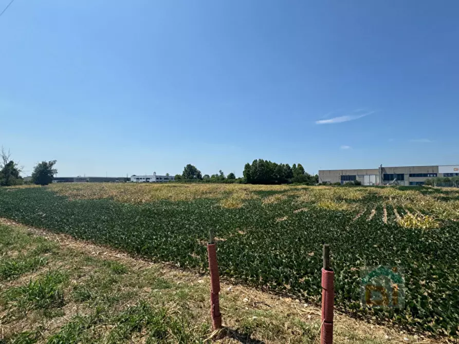 Immagine 9 di Terreno in vendita  in Via Remis a San Vito Al Torre