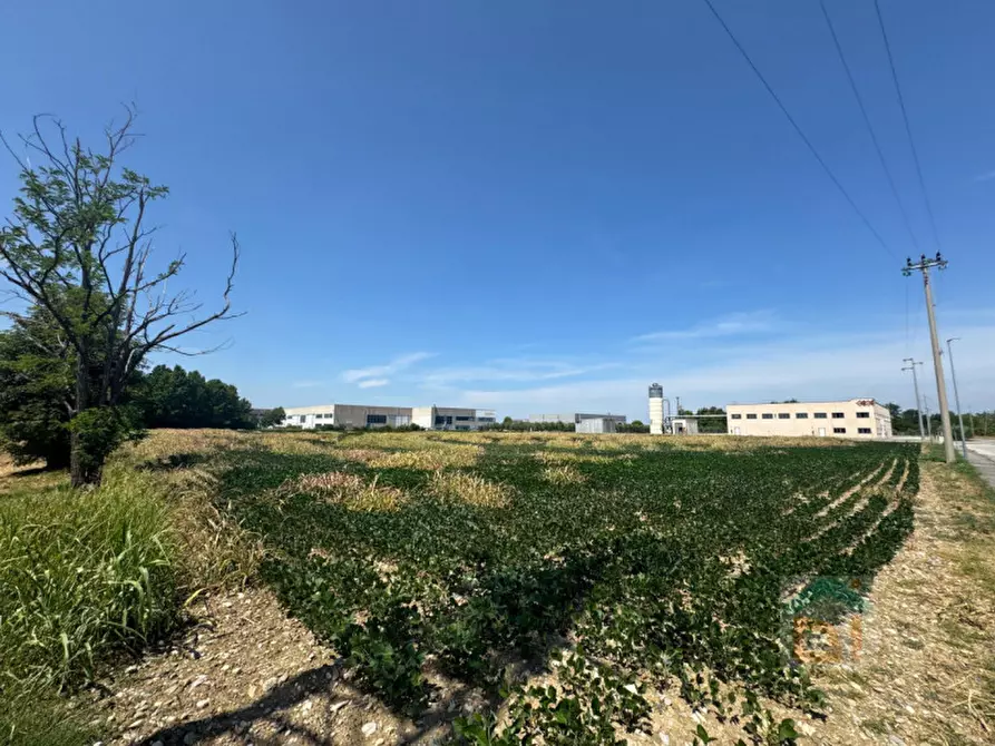 Immagine 11 di Terreno in vendita  in Via Remis a San Vito Al Torre