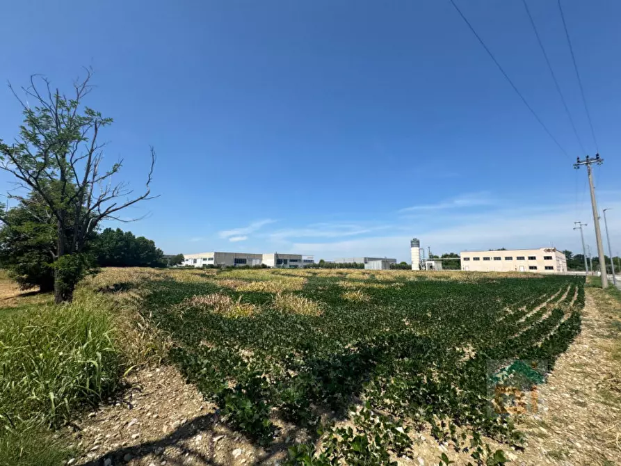Immagine 12 di Terreno in vendita  in Via Remis a San Vito Al Torre