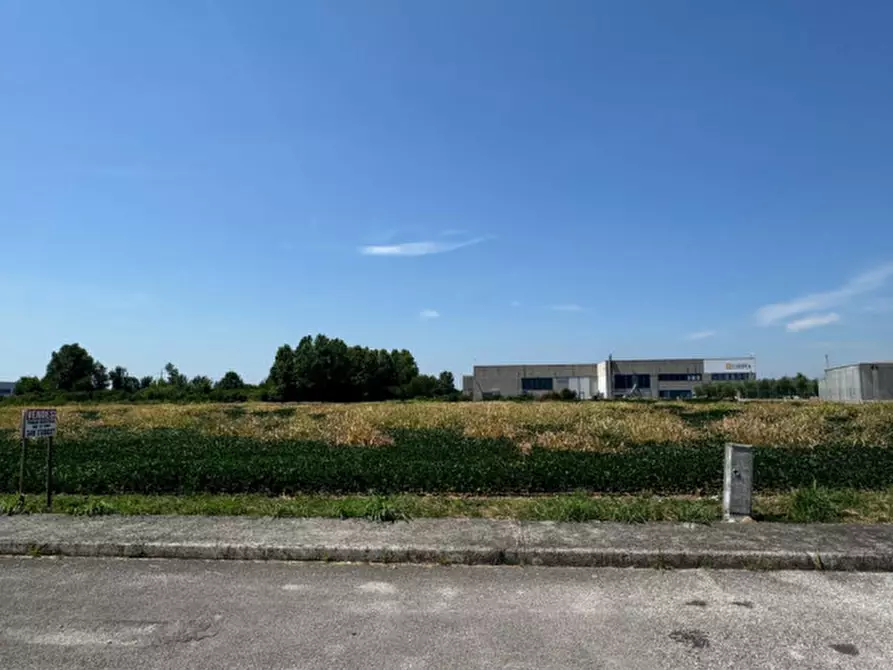 Immagine 13 di Terreno in vendita  in Via Remis a San Vito Al Torre