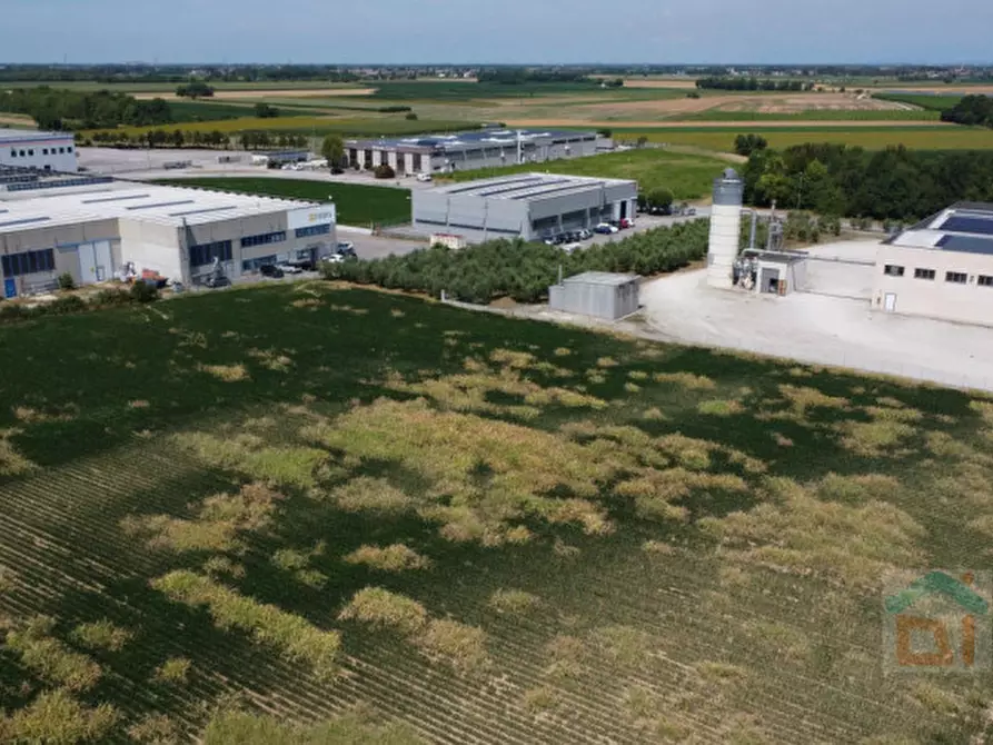 Immagine 17 di Terreno in vendita  in Via Remis a San Vito Al Torre