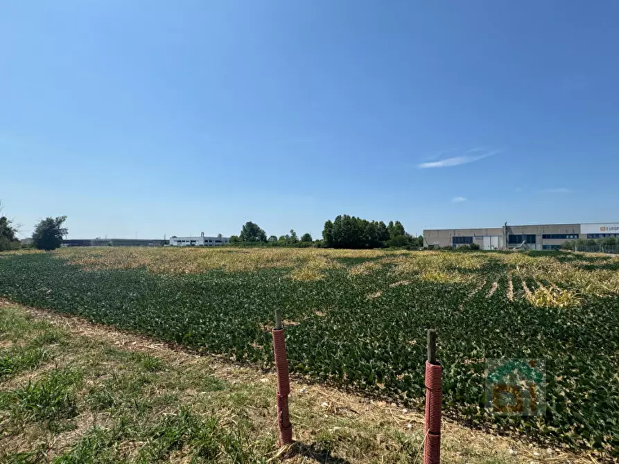 Immagine 18 di Terreno in vendita  in Via Remis a San Vito Al Torre