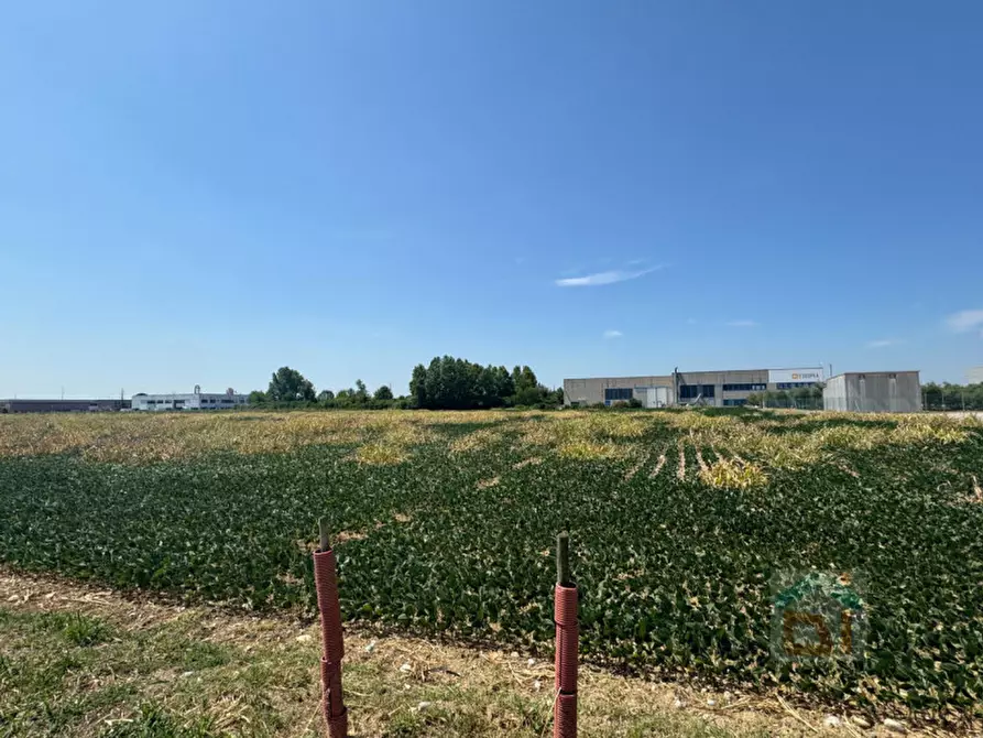 Immagine 19 di Terreno in vendita  in Via Remis a San Vito Al Torre