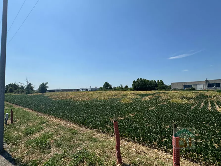 Immagine 20 di Terreno in vendita  in Via Remis a San Vito Al Torre