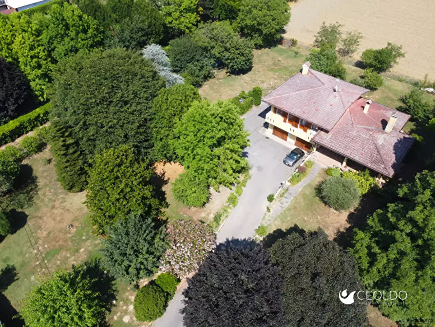 Immagine 7 di Villa in vendita  in via san Francesco a Vigonza