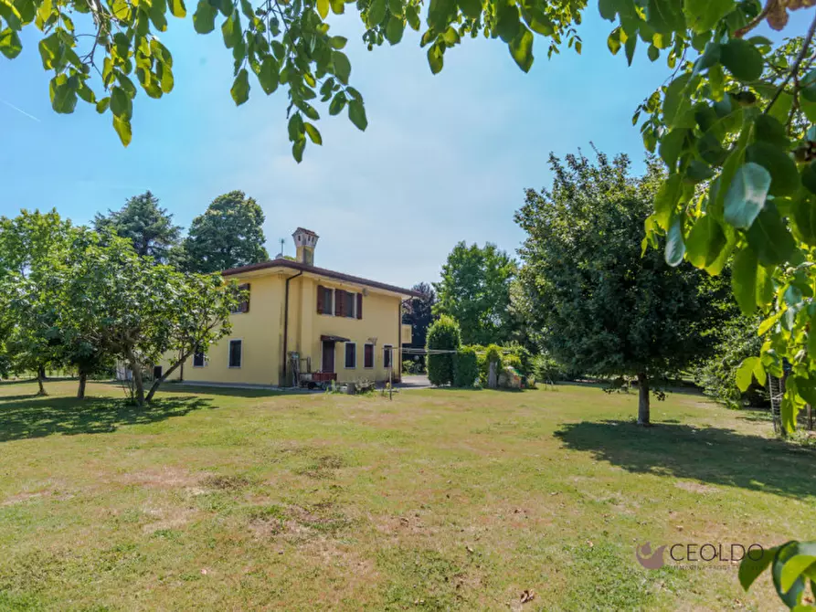 Immagine 8 di Villa in vendita  in via san Francesco a Vigonza