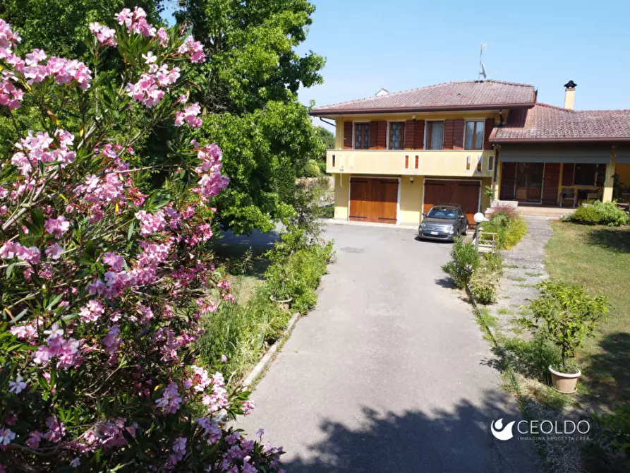 Immagine 15 di Villa in vendita  in via san Francesco a Vigonza