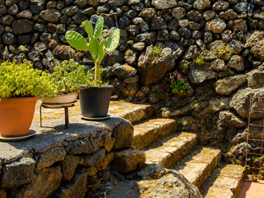 Immagine 10 di Rustico / casale in vendita  a Pantelleria