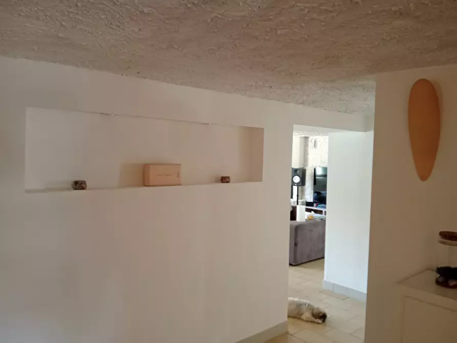 Immagine 21 di Casa indipendente in vendita  in Via Giuseppe Garibaldi a Vigonovo