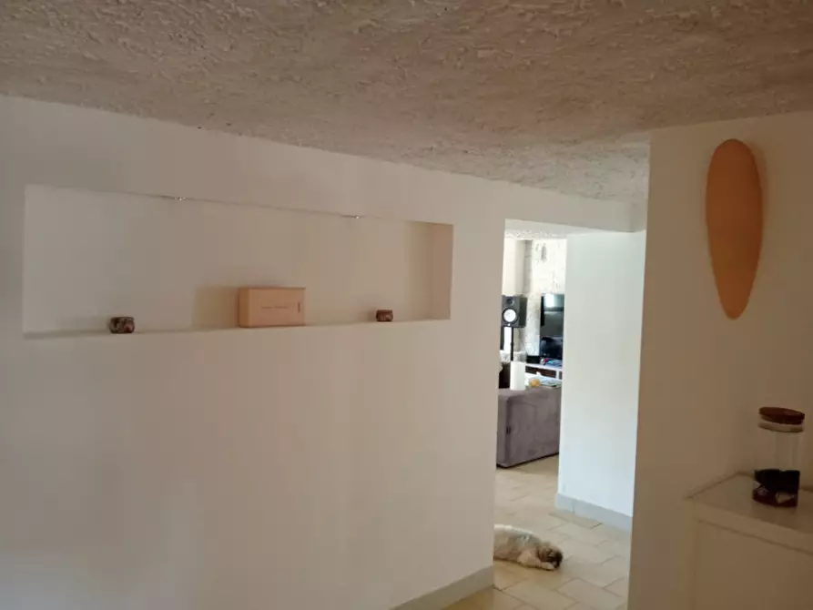 Immagine 22 di Casa indipendente in vendita  in Via Giuseppe Garibaldi a Vigonovo