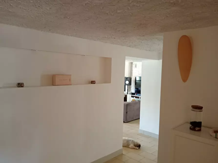 Immagine 23 di Casa indipendente in vendita  in Via Giuseppe Garibaldi a Vigonovo