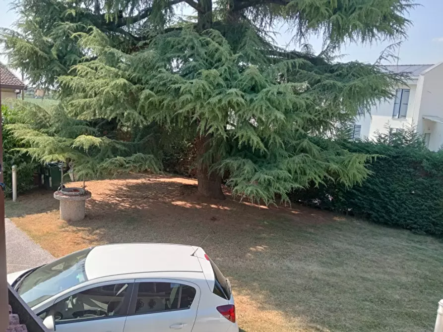 Immagine 44 di Casa indipendente in vendita  in Via Giuseppe Garibaldi a Vigonovo