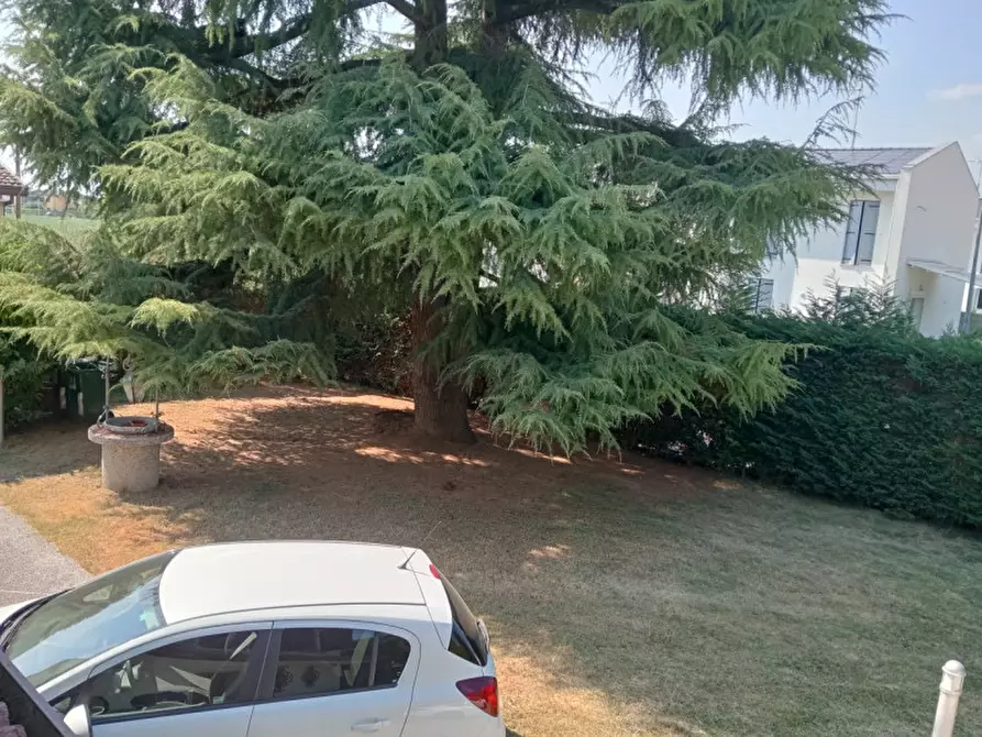 Immagine 45 di Casa indipendente in vendita  in Via Giuseppe Garibaldi a Vigonovo