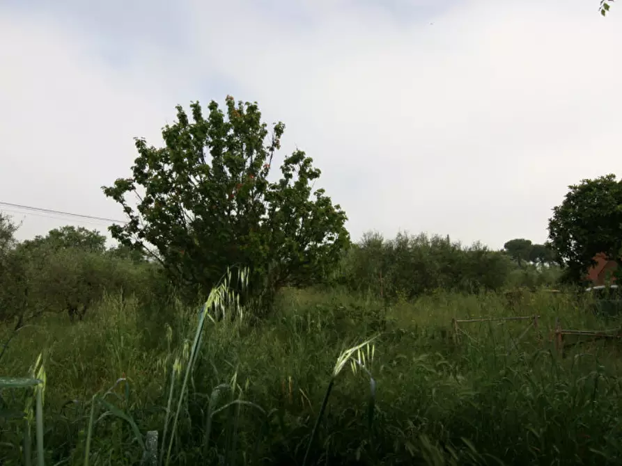 Immagine 6 di Magazzino in vendita  a Sinalunga
