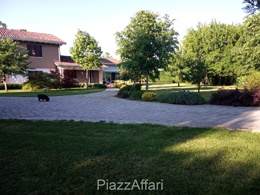 Immagine 3 di Villa in vendita  in Via Frapiero a Correzzola
