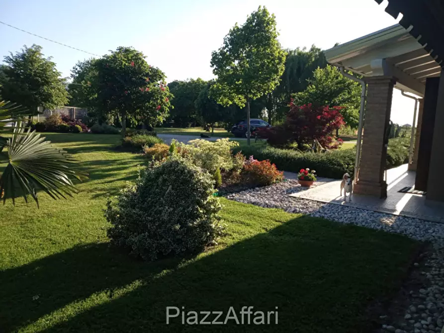 Immagine 4 di Villa in vendita  in Via Frapiero a Correzzola