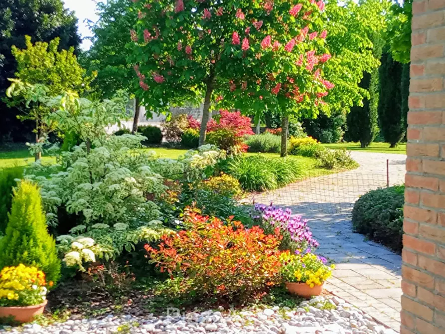 Immagine 5 di Villa in vendita  in Via Frapiero a Correzzola