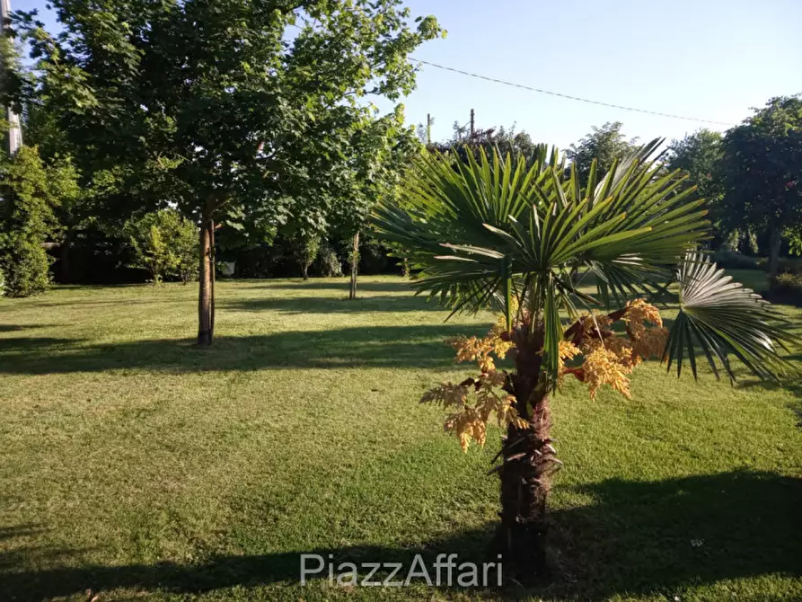 Immagine 13 di Villa in vendita  in Via Frapiero a Correzzola