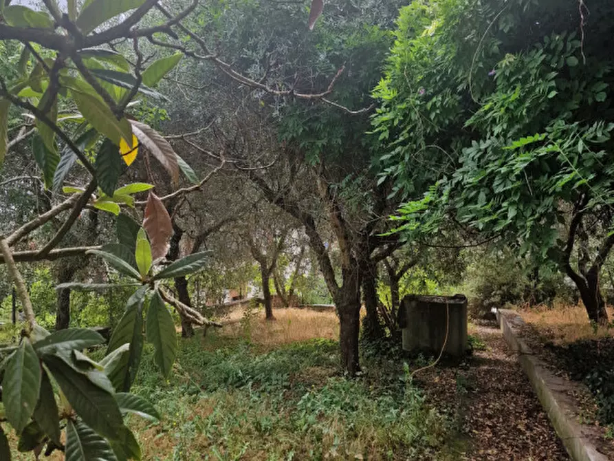 Immagine 25 di Appartamento in vendita  a Sinalunga
