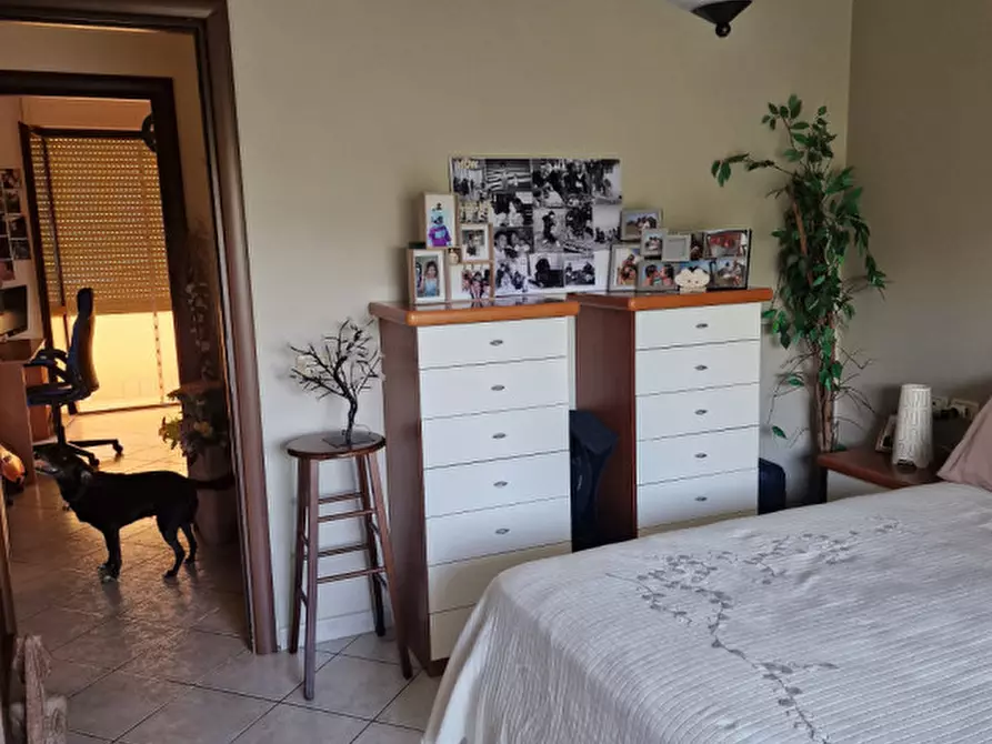 Immagine 5 di Appartamento in vendita  a Sinalunga