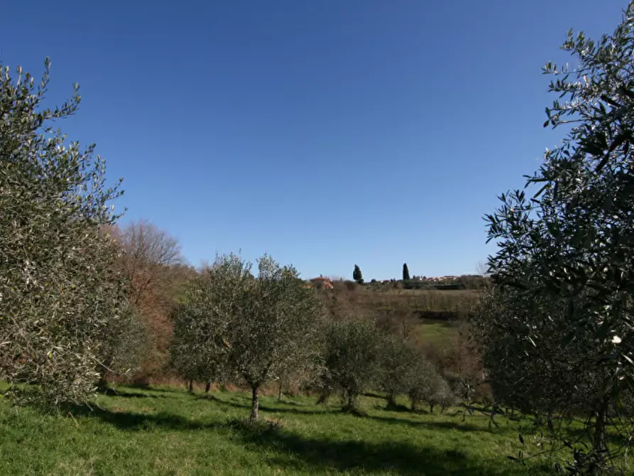 Immagine 18 di Terreno in vendita  a Sinalunga