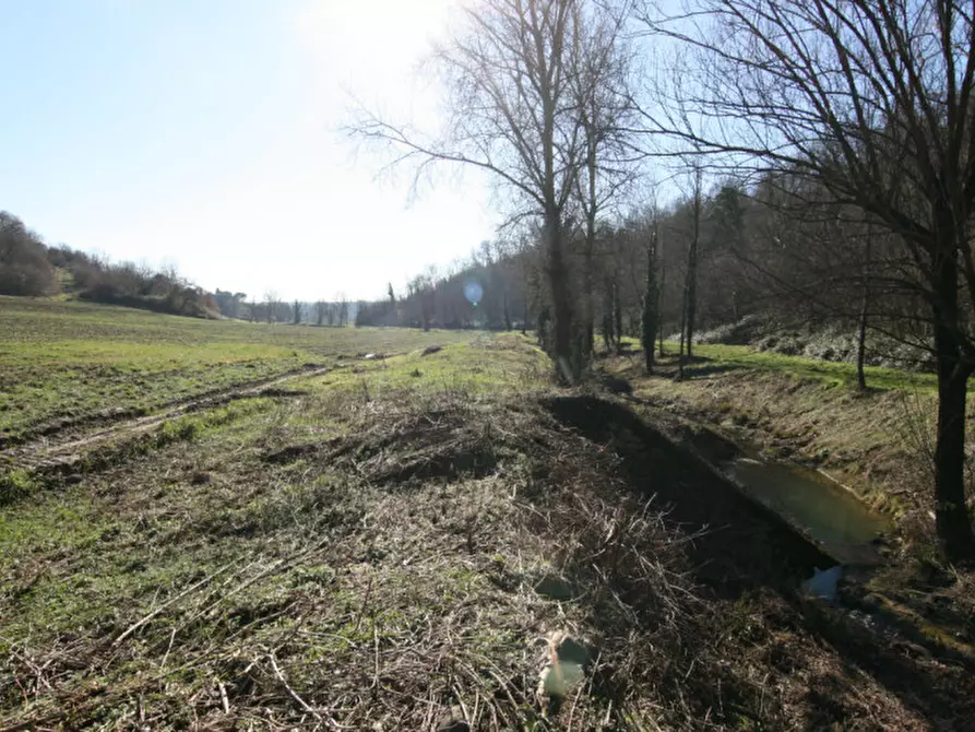 Immagine 8 di Terreno in vendita  a Sinalunga