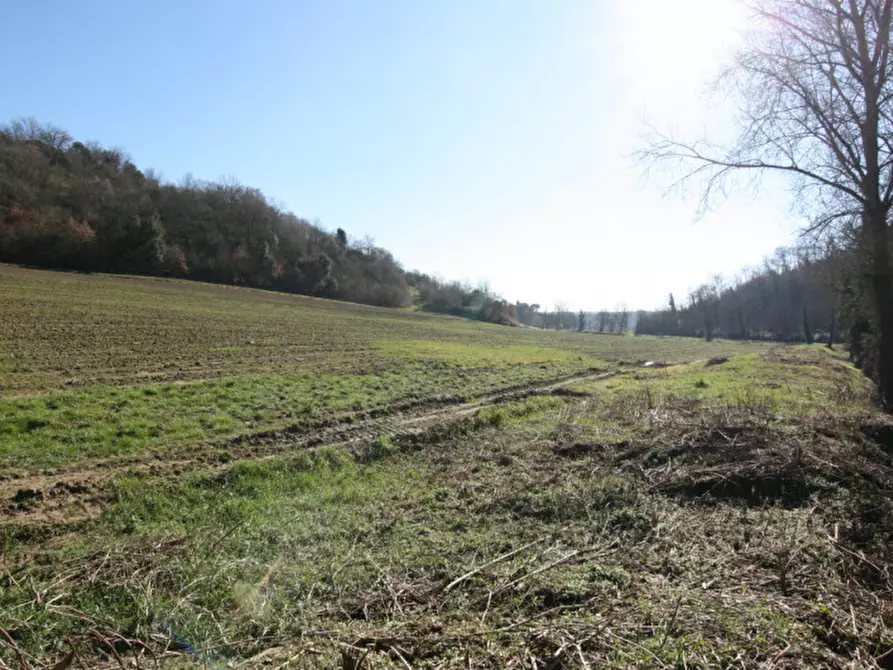 Immagine 9 di Terreno in vendita  a Sinalunga