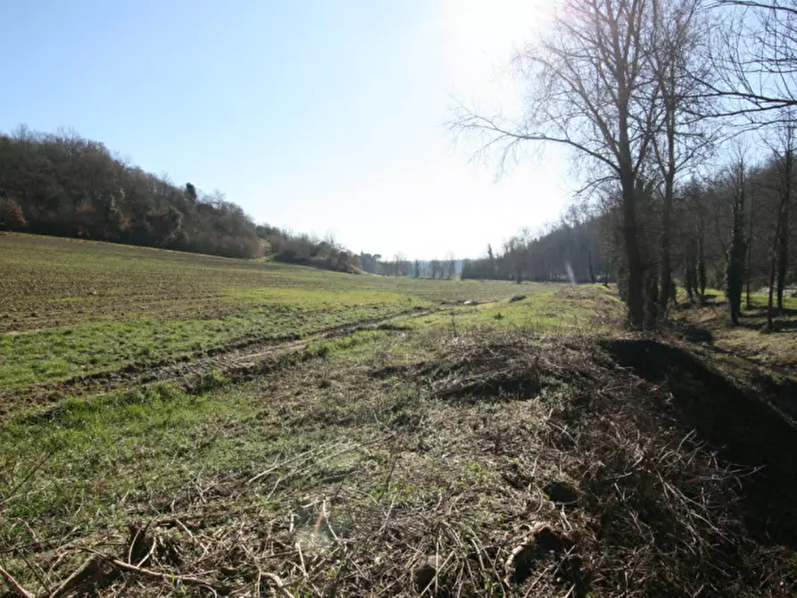 Immagine 11 di Terreno in vendita  a Sinalunga