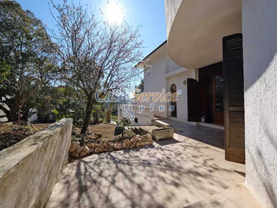 Immagine 58 di Villa in vendita  in Viale Grotta Sant'Ermete a Matino